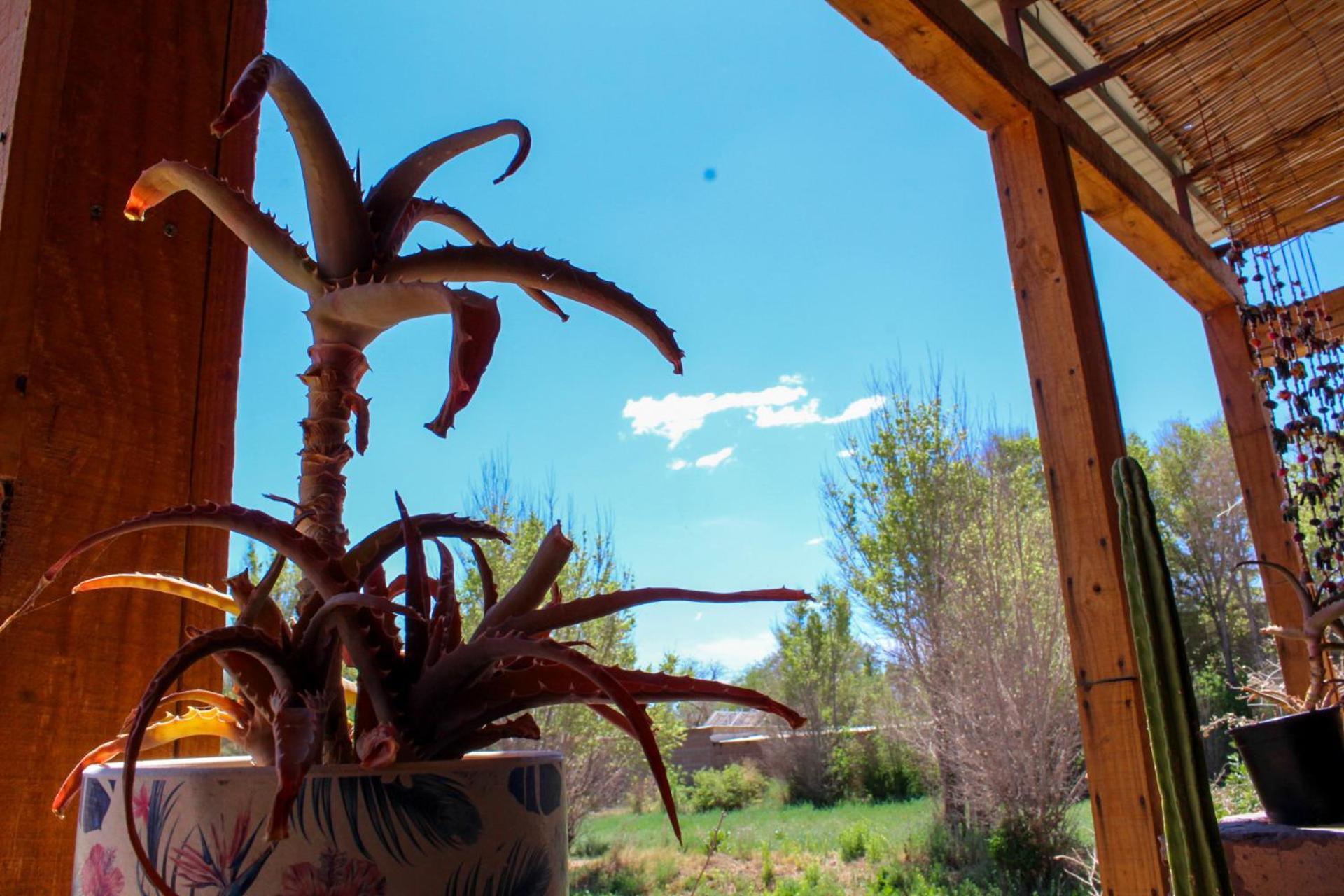 Puna Hostel San Pedro de Atacama Ngoại thất bức ảnh